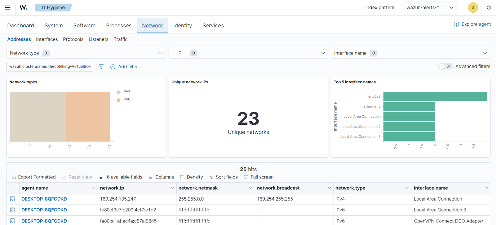 System inventory - Network Addresses tab
