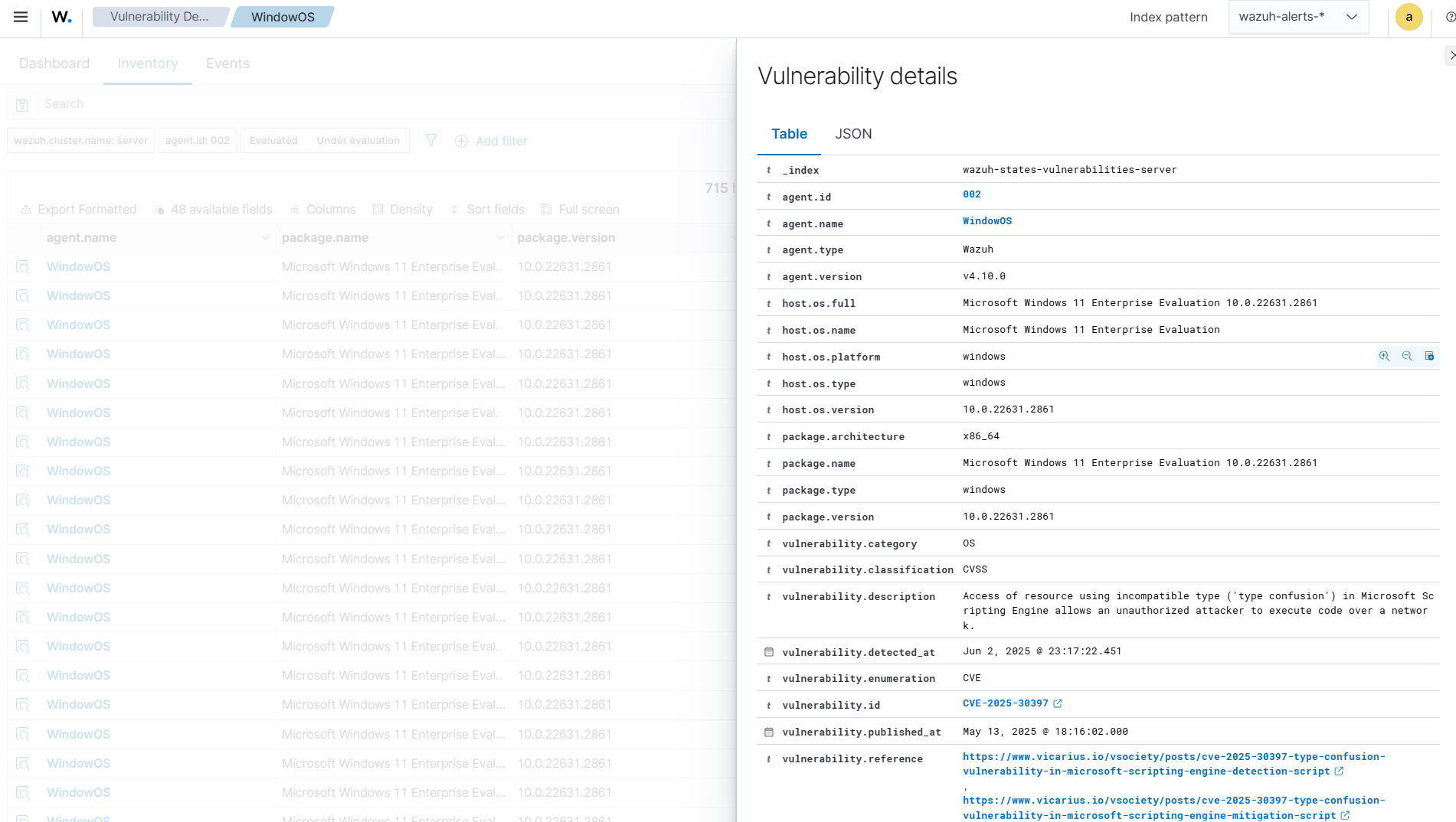 Vulnerability detection inventory details